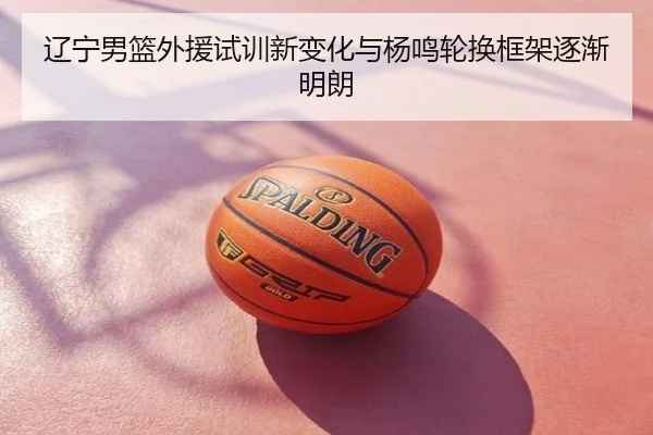 辽宁男篮外援试训新变化与杨鸣轮换框架逐渐明朗